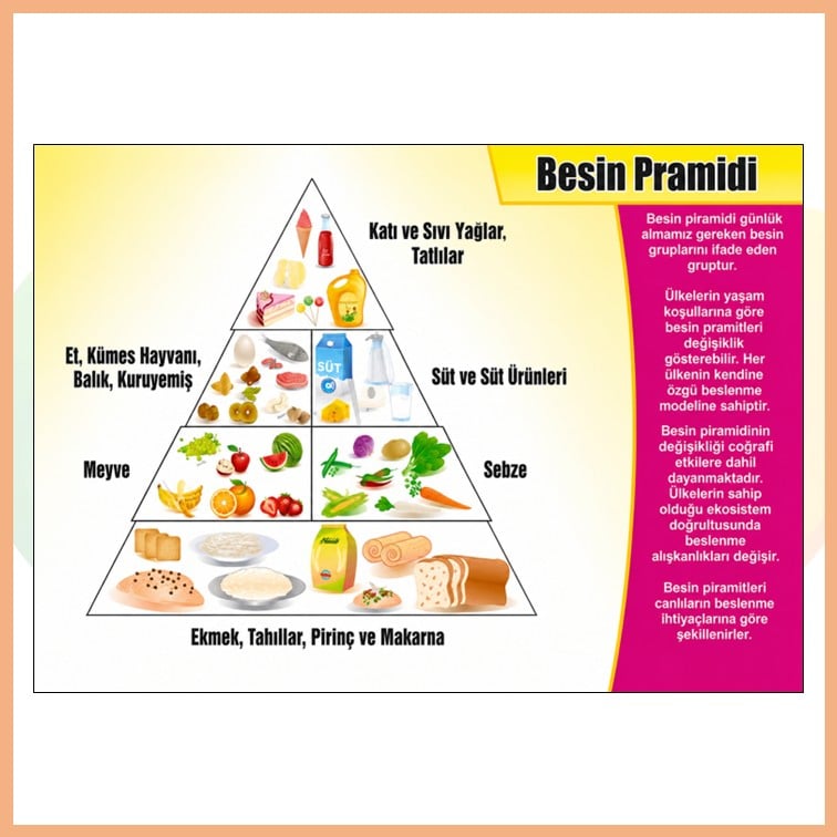 Besin Piramidi Afişi