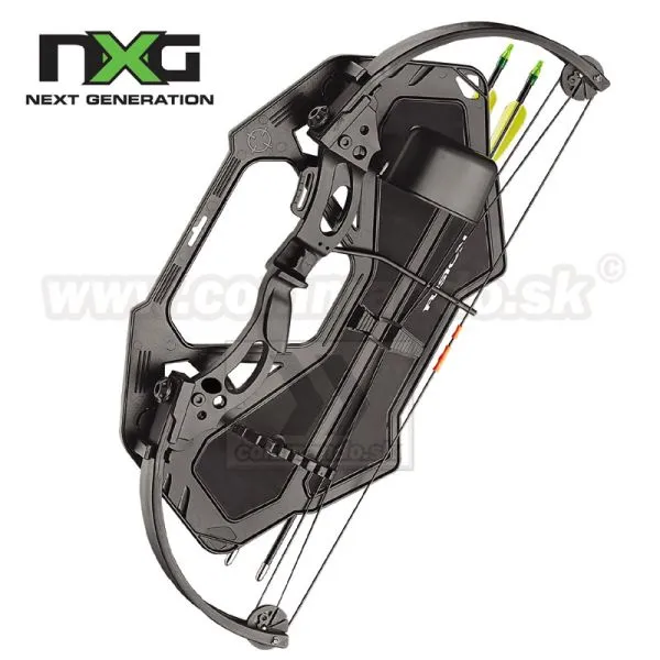 NXG Fusion